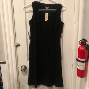 Ann Taylor Dress-professional and mature